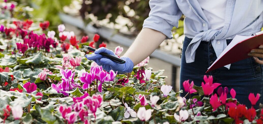 Be careful: which flowers for the garden are actually poisonous