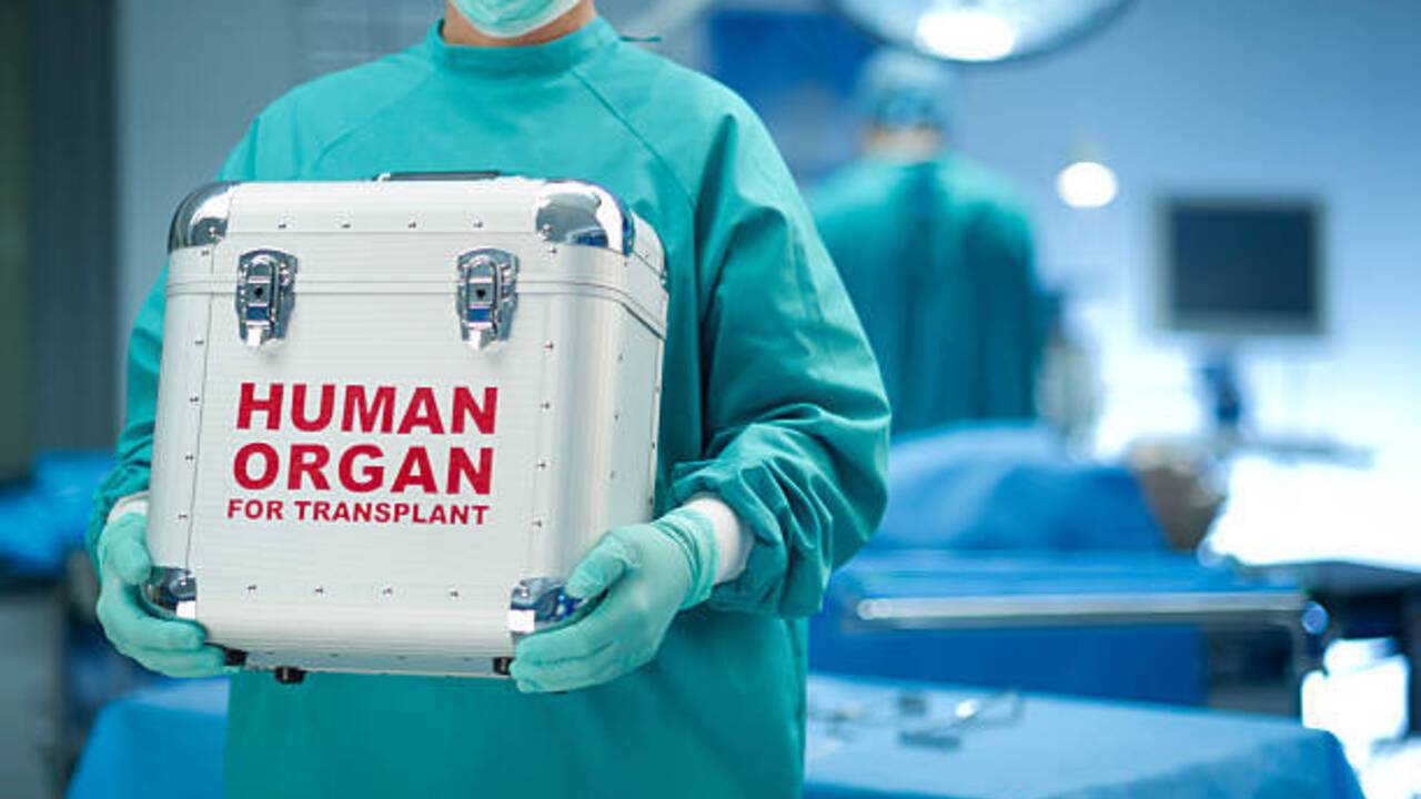 Placebo effect or something unknown? Professor explains why organ transplantation can change a person's personality