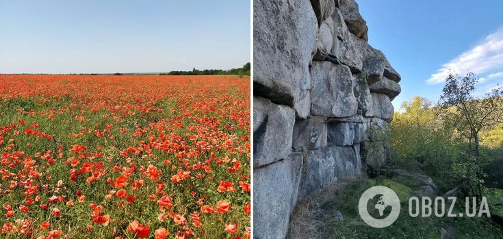 Ukraińskie Stonehenge: rezerwat przyrody Monastyryszcze w obwodzie kirowohradzkim