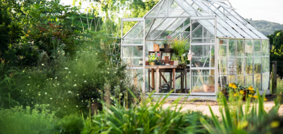 Как обустроить у дома сад