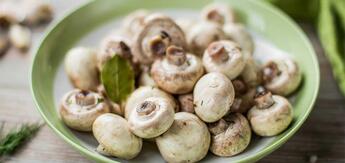 Recipe for pickled mushrooms
