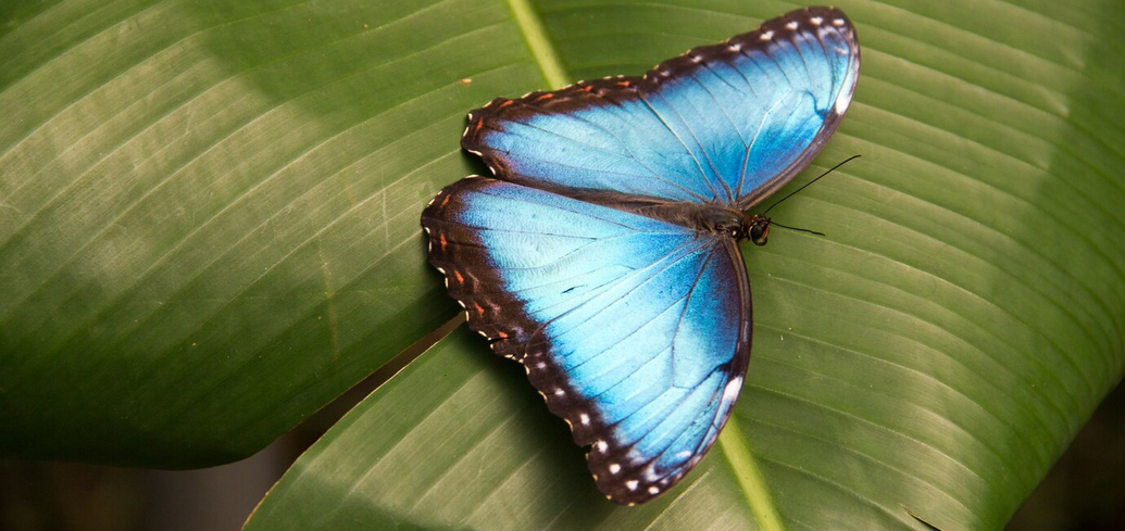 Прикмети та повір'я
