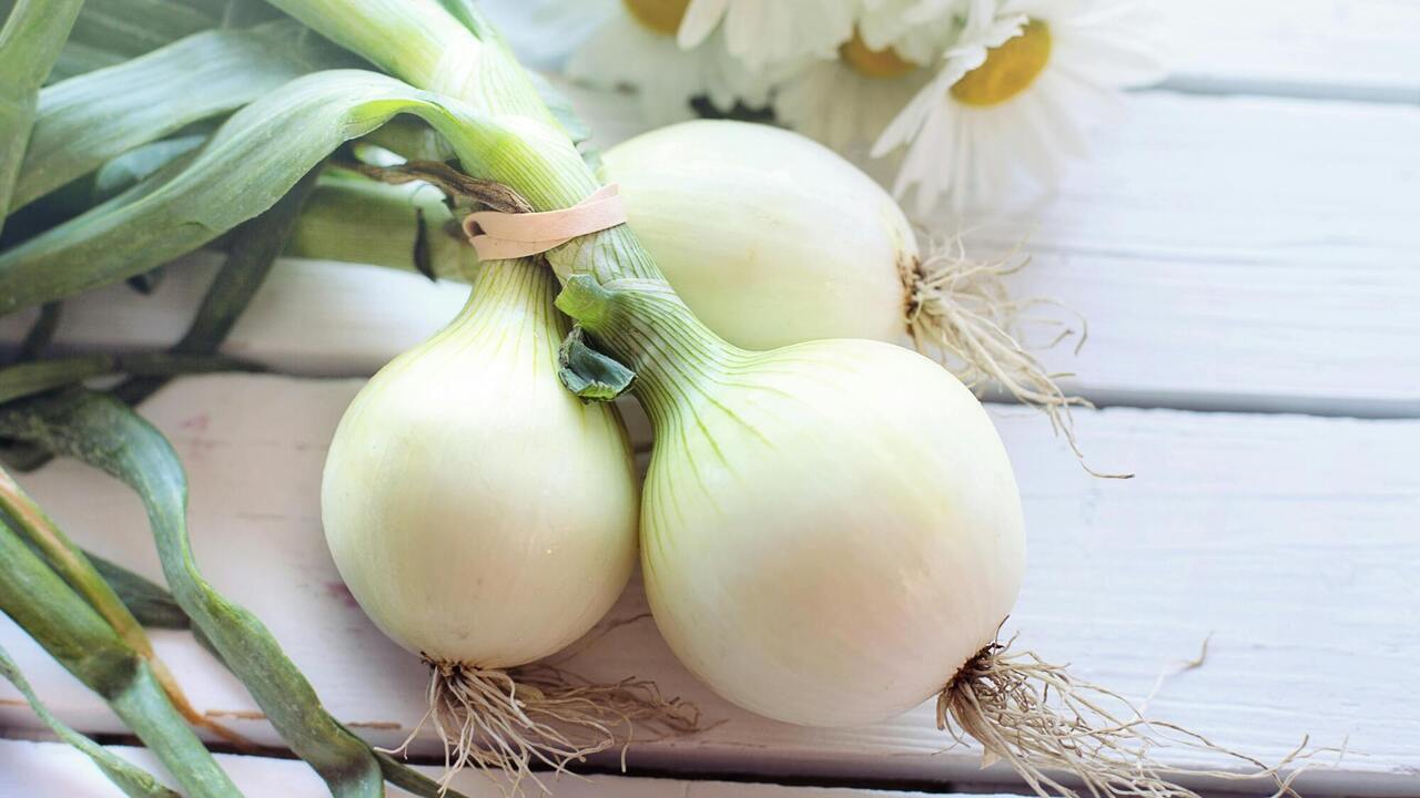 How to keep onions fresh for 6 months: expert advice