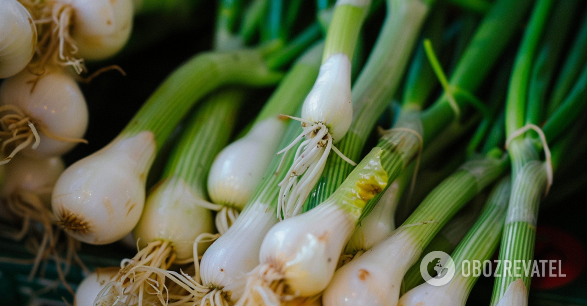 What to do if onions turn yellow: tips for summer house owners