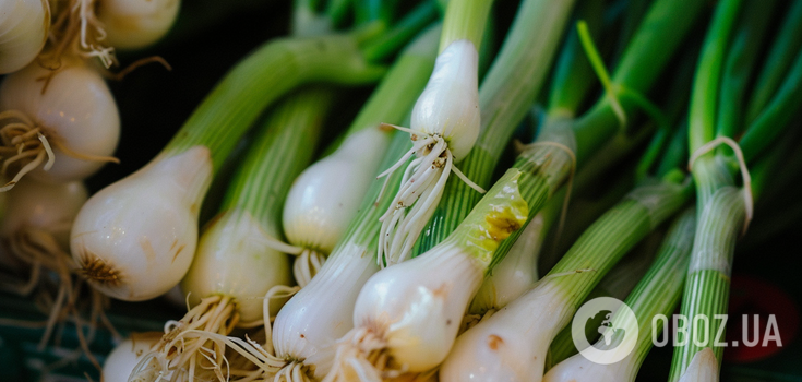 What to do if onions turn yellow: tips for summer house owners