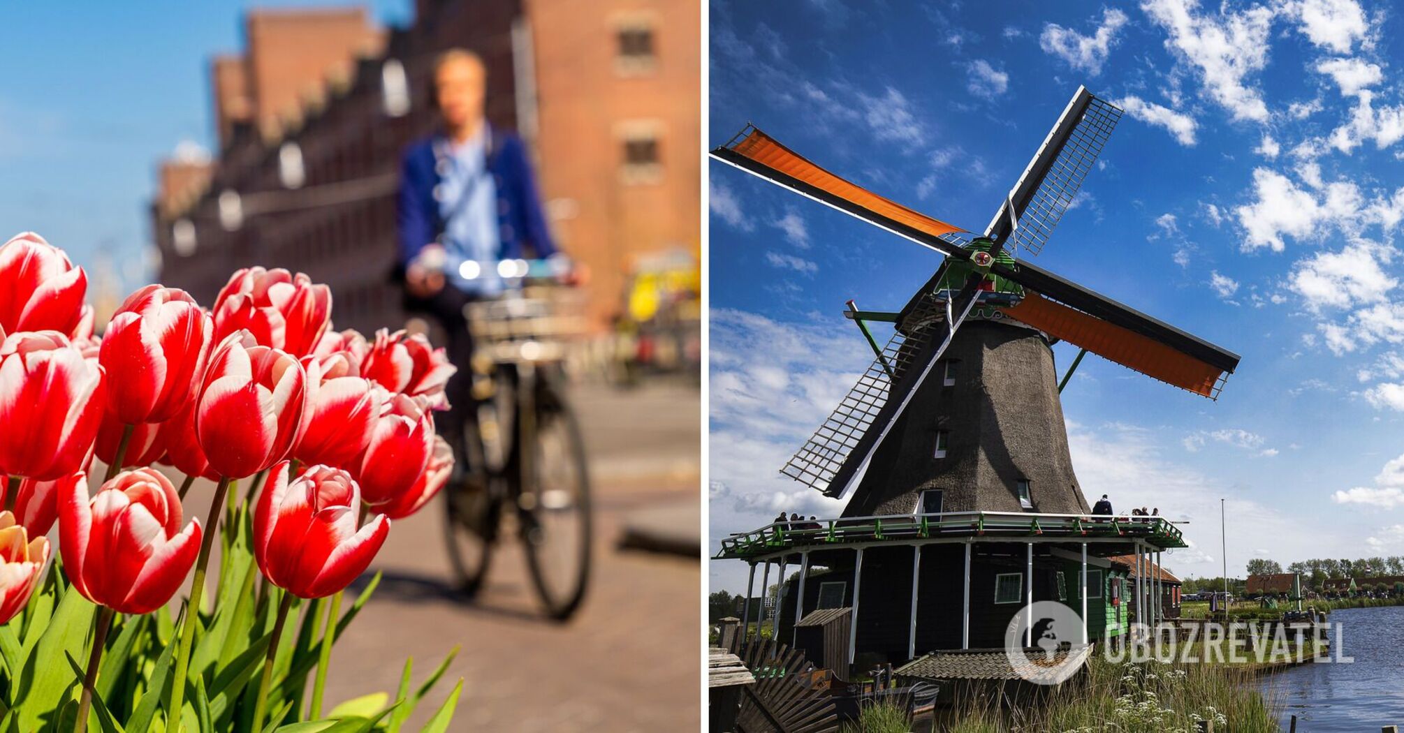 From Keukenhof Gardens to the Van Gogh Museum: planning a tour of the Netherlands