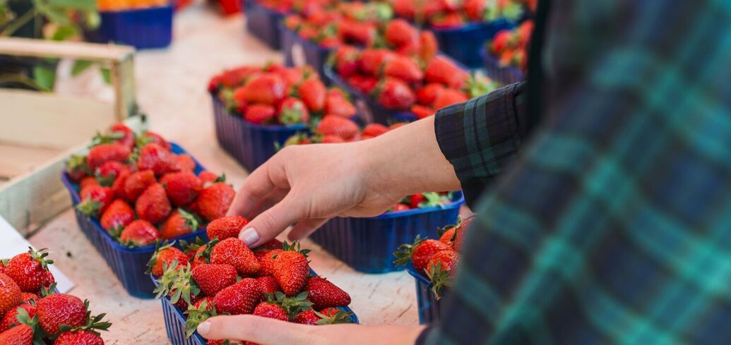 How to choose strawberries