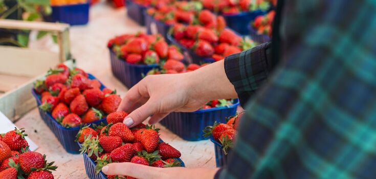 How to choose strawberries