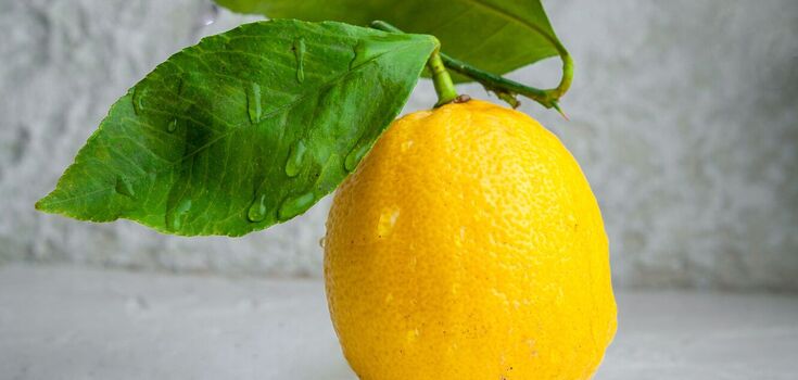 How to squeeze juice from lemons to keep them fresh: useful tips