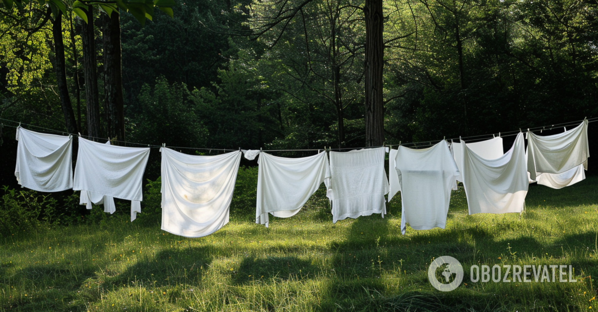 White laundry will be like new: only 4 products are needed for perfect washing