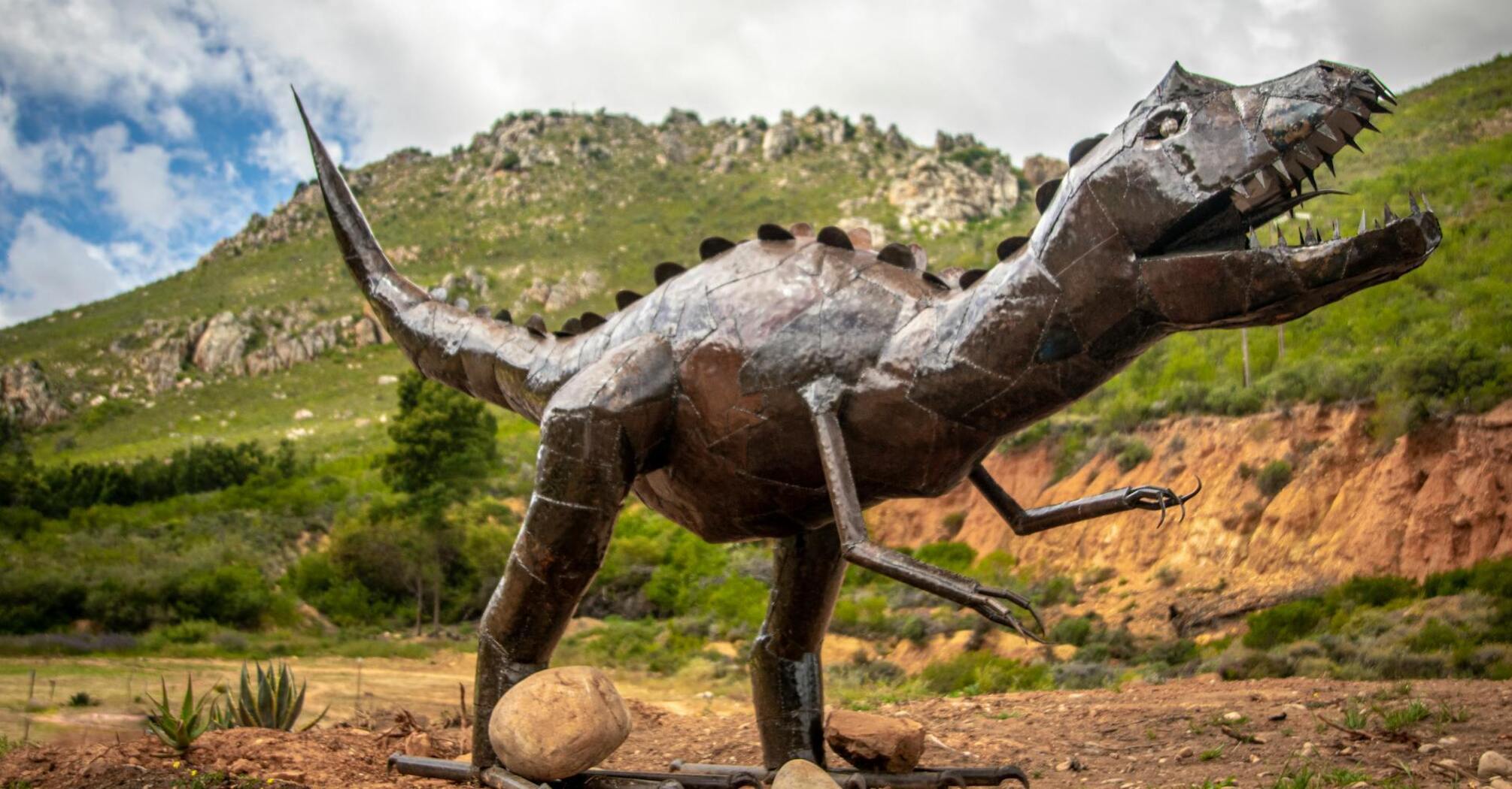 "Dark extinctions" are imperceptibly wiping out life on Earth: what it is and how to prevent it
