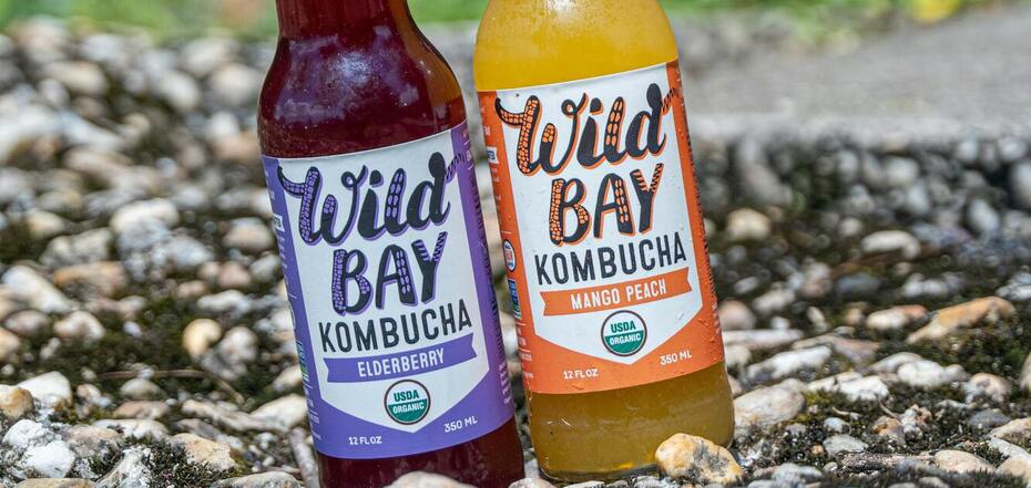 Плюси та мінуси комбучі