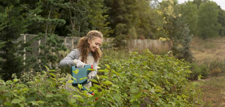 How to cure plants from rust stains: tips for summer residents