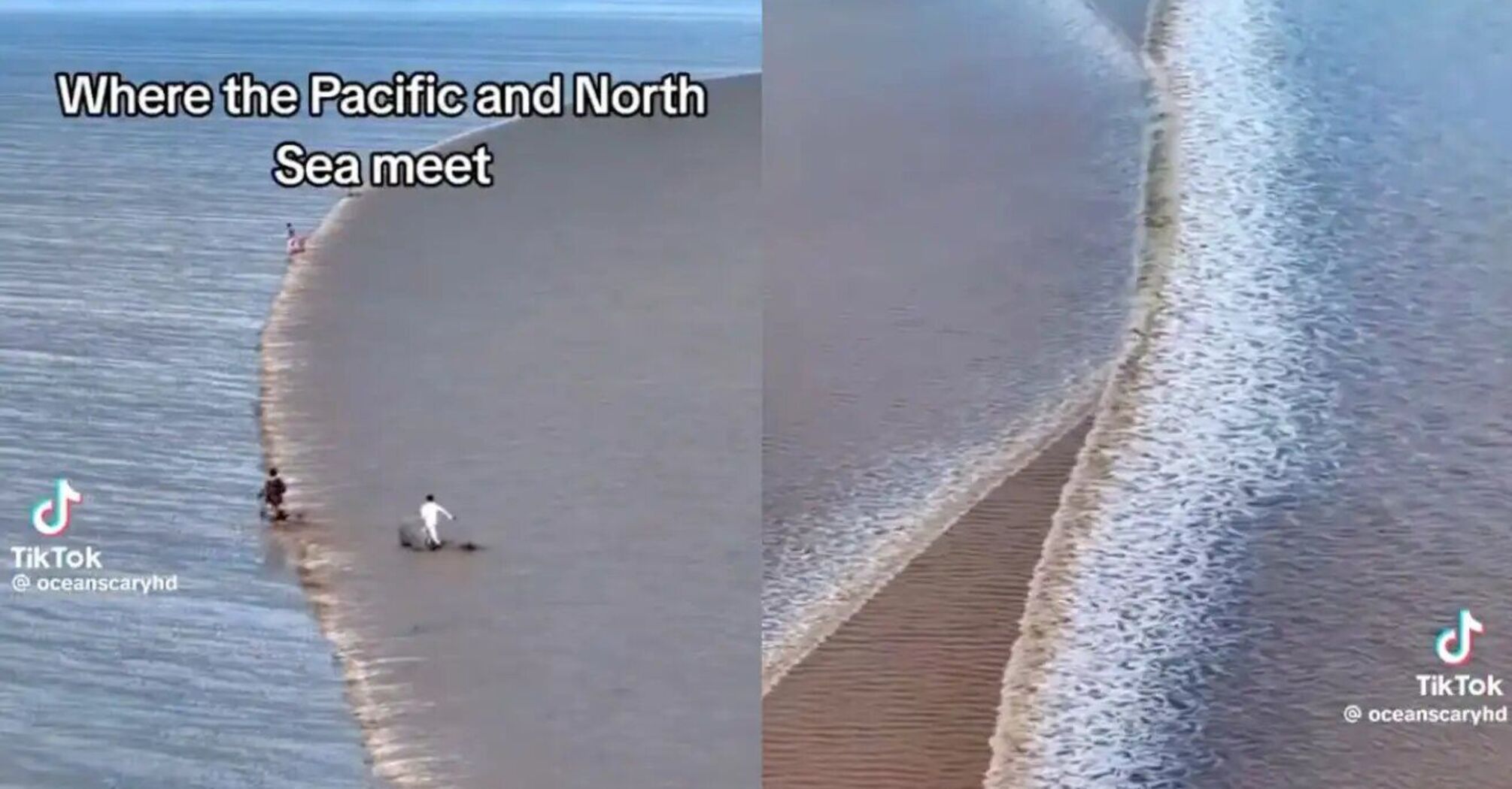 Wideo pokazujące "spotkanie" Oceanu Spokojnego z Morzem Północnym stało się wirusowe i oburzyło naukowców.