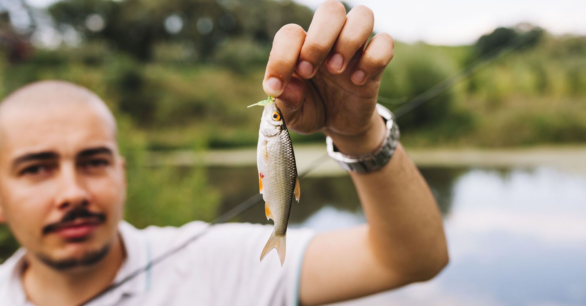 Fishing calendar for June 2024: when will be the best bite