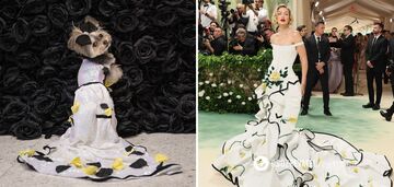 Psy powtórzyły zdjęcia gwiazd Met Gala 2024. Wybór zdjęć, które cię rozweselą