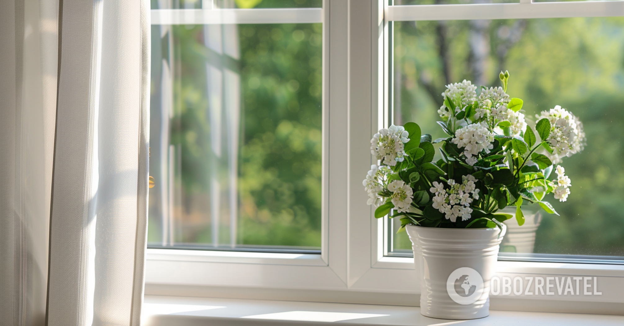 How to make the perfect fertilizer for flowering houseplants: the recipe