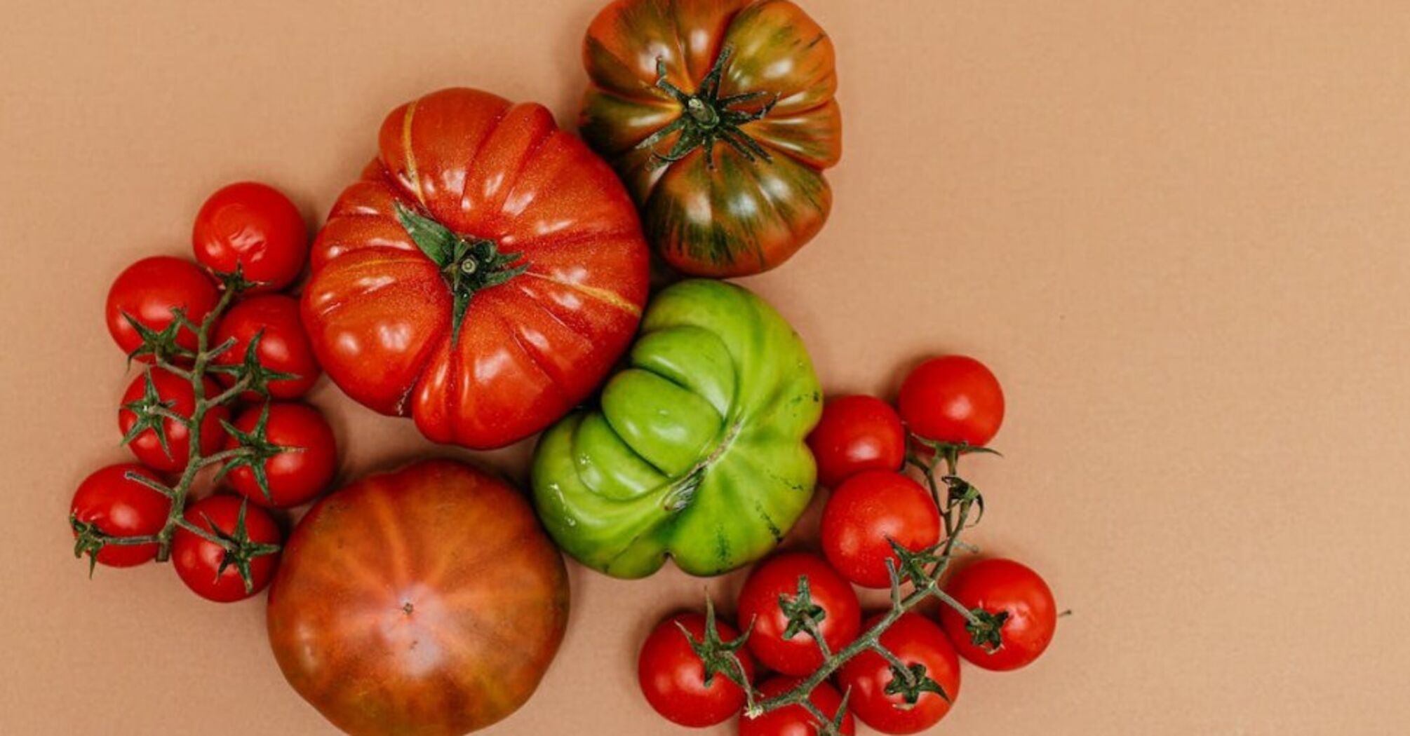 How and where not to store tomatoes: to prevent them from becoming watery and losing their elasticity