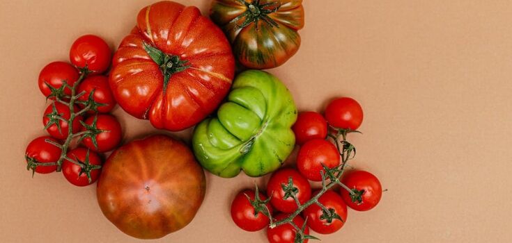 How and where not to store tomatoes: to prevent them from becoming watery and losing their elasticity