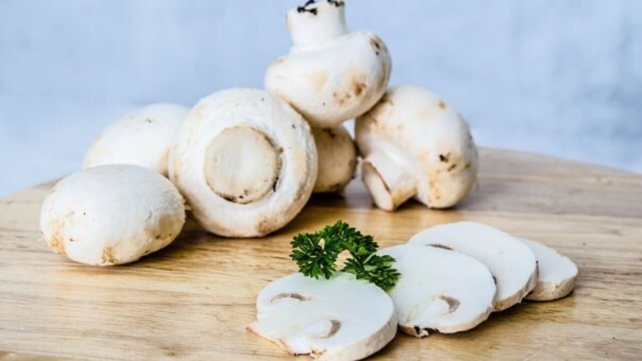 What to cook with mushrooms