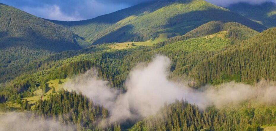 Черногория