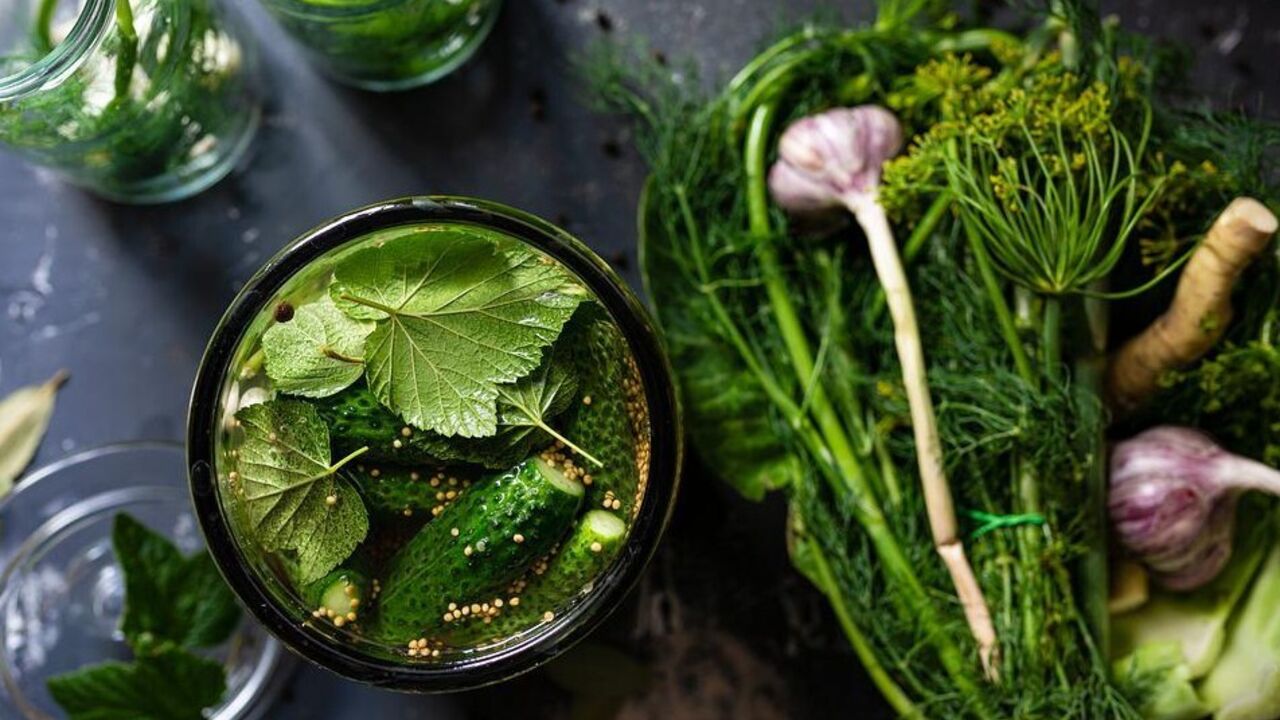 Crispy lightly salted cucumbers: what leaves to pickle with