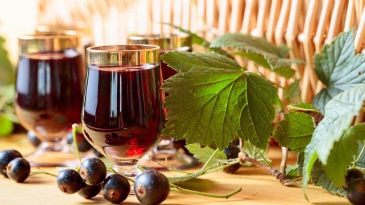 Homemade blackcurrant wine: without vodka and alcohol
