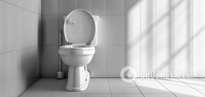 How to clean the toilet cistern from plaque and rust: an effective way