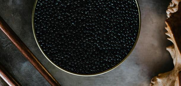 How to choose quality black caviar and avoid a fake: tips from experts