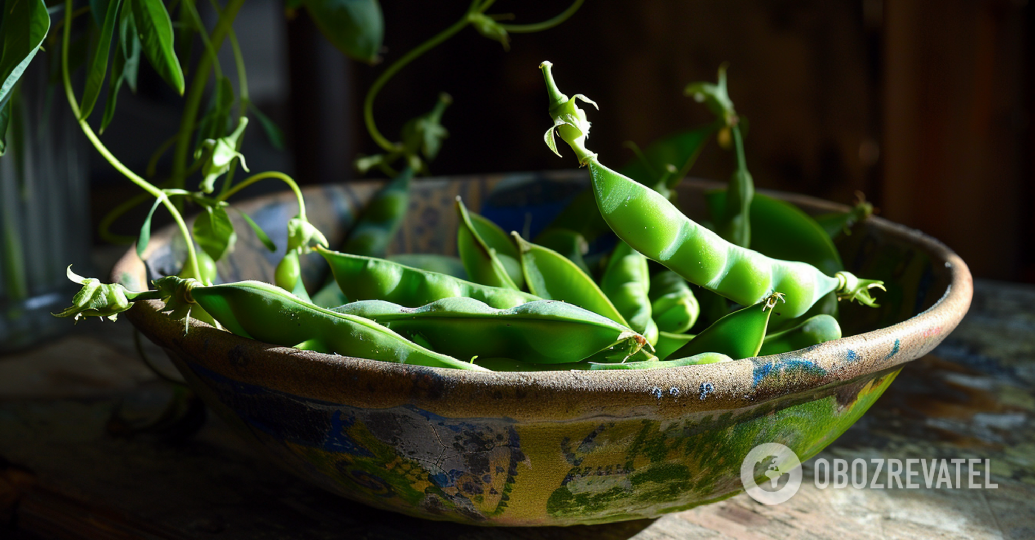 Peas will be big and sweet: what to feed in June