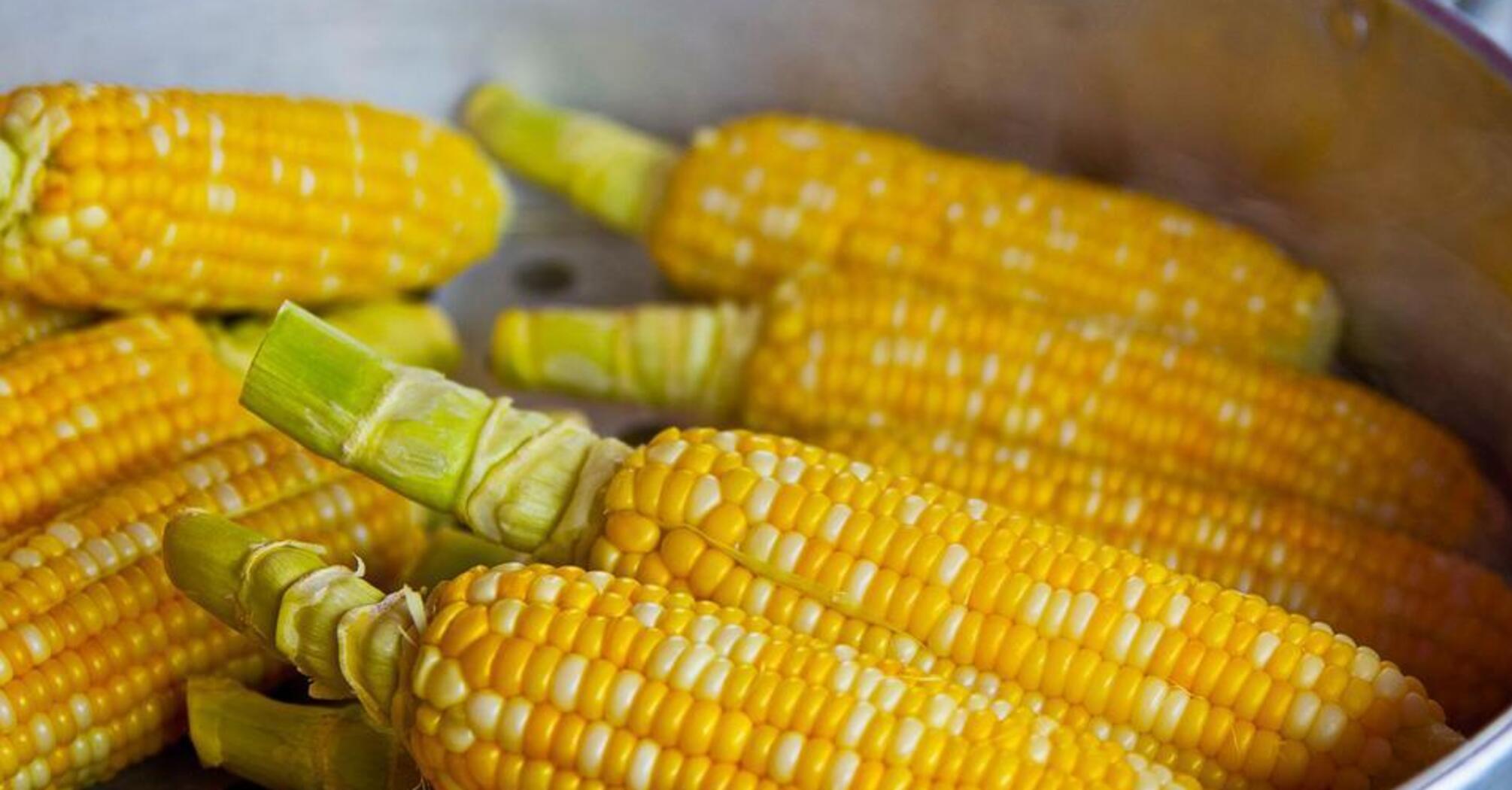 Young corn casserole that even children can eat: very tender and healthy