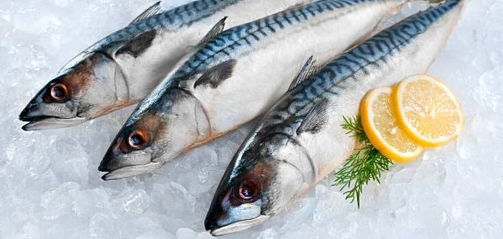 How to marinate mackerel in an unusual way: a recipe for an instant appetizer
