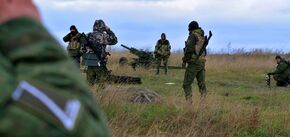 The occupiers tried to recapture Nestryga Island: Pletenchuk tells about the situation