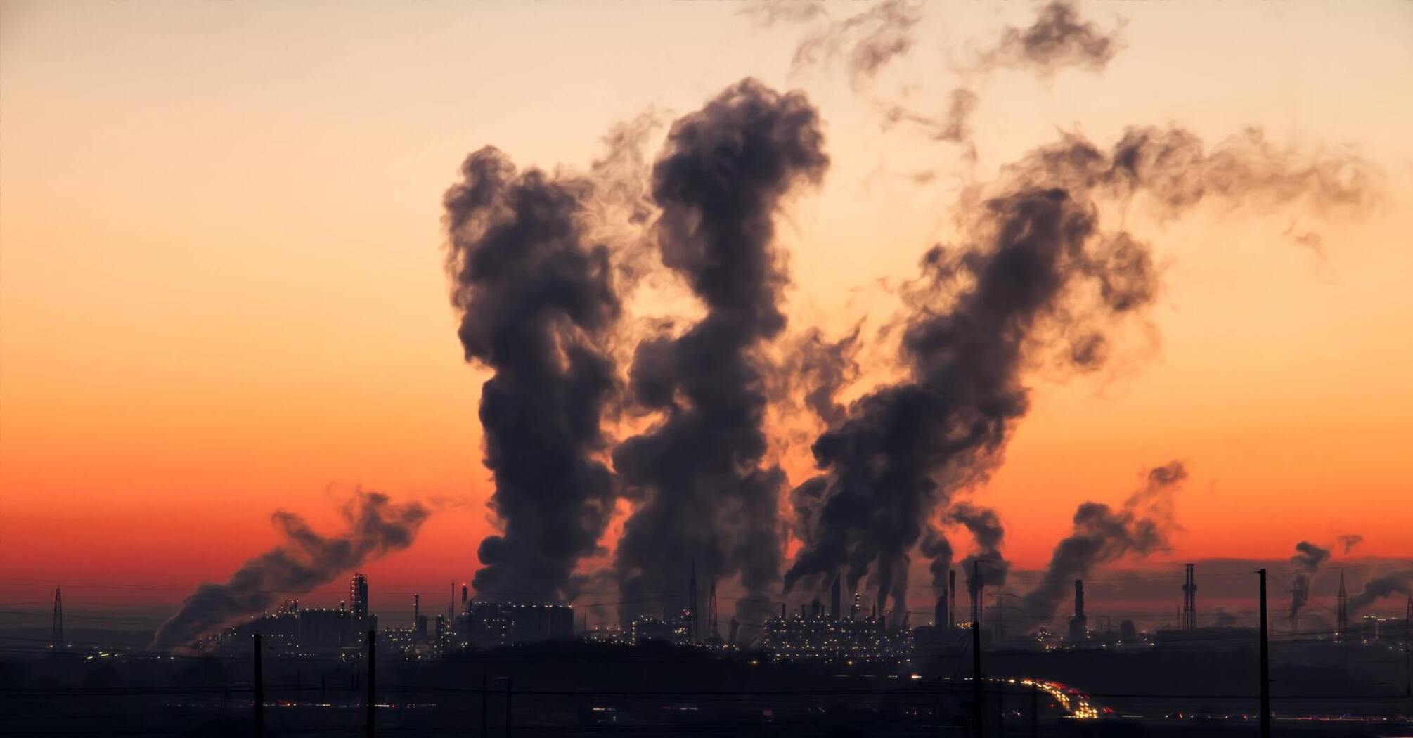 How to protect yourself from air pollution: effective tips