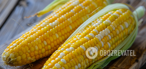 Kiedy sadzić kukurydzę: jak wybrać najlepsze miejsce w ogrodzie