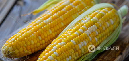When to plant corn: how to choose the best place in the garden