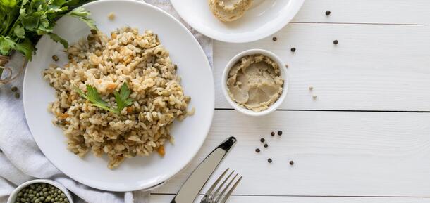 Orzo pasta with chicken in cream sauce: a quick but delicious lunch