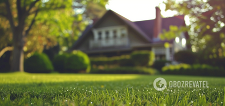 Will ruin any lawn: a mistake made by many summer residents