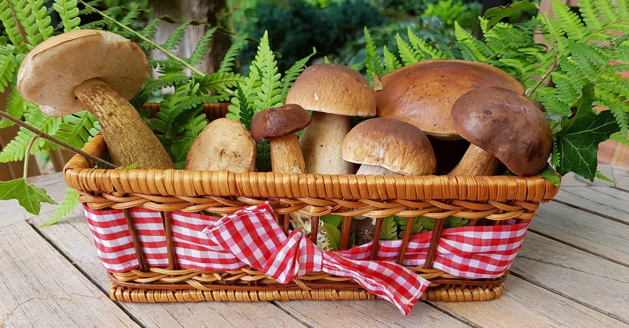 How to make a delicious mushroom marinade