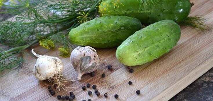 Crispy pickles in 10 minutes: add lots of garlic and dill
