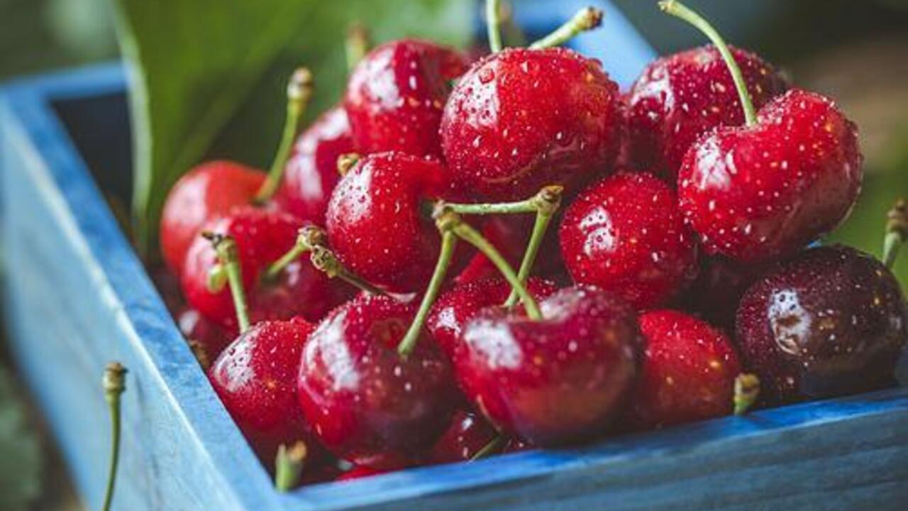 How to preserve cherries in their own juice: for pies, dumplings, cakes and compotes