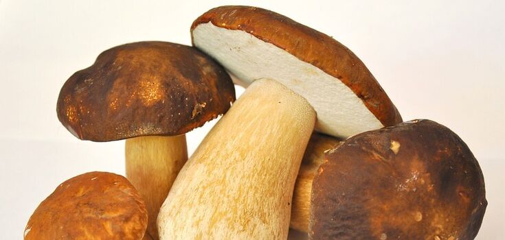 How to fry porcini mushrooms with onions deliciously: for porridge, pasta and even meat