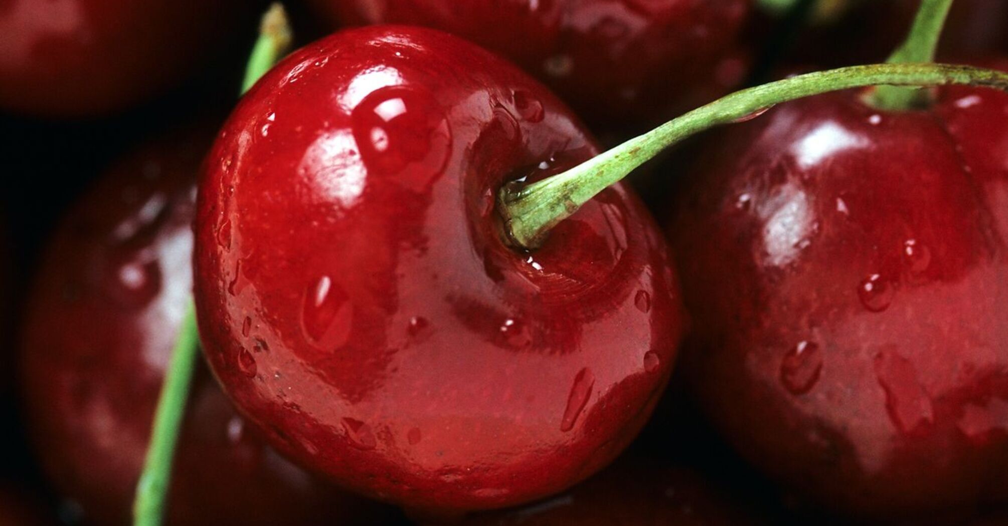 How to preserve cherries for the winter: the simplest technology