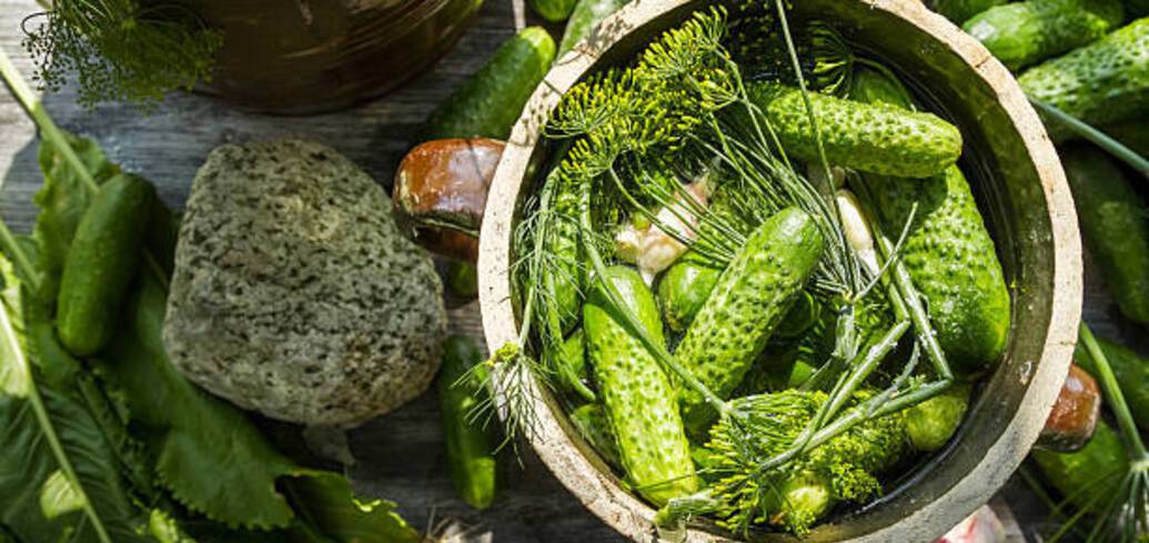 Recipe for lightly salted cucumbers without vinegar