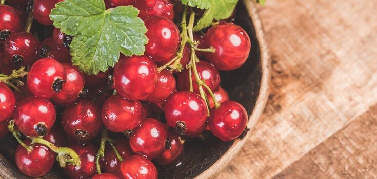 Red currant jelly: the legendary recipe of Daria Tsvek