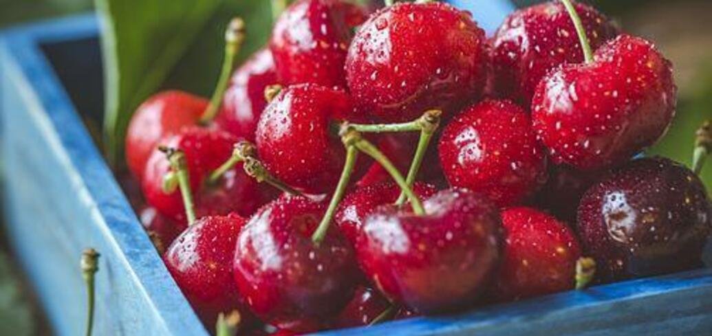 Ripe home-made cherries