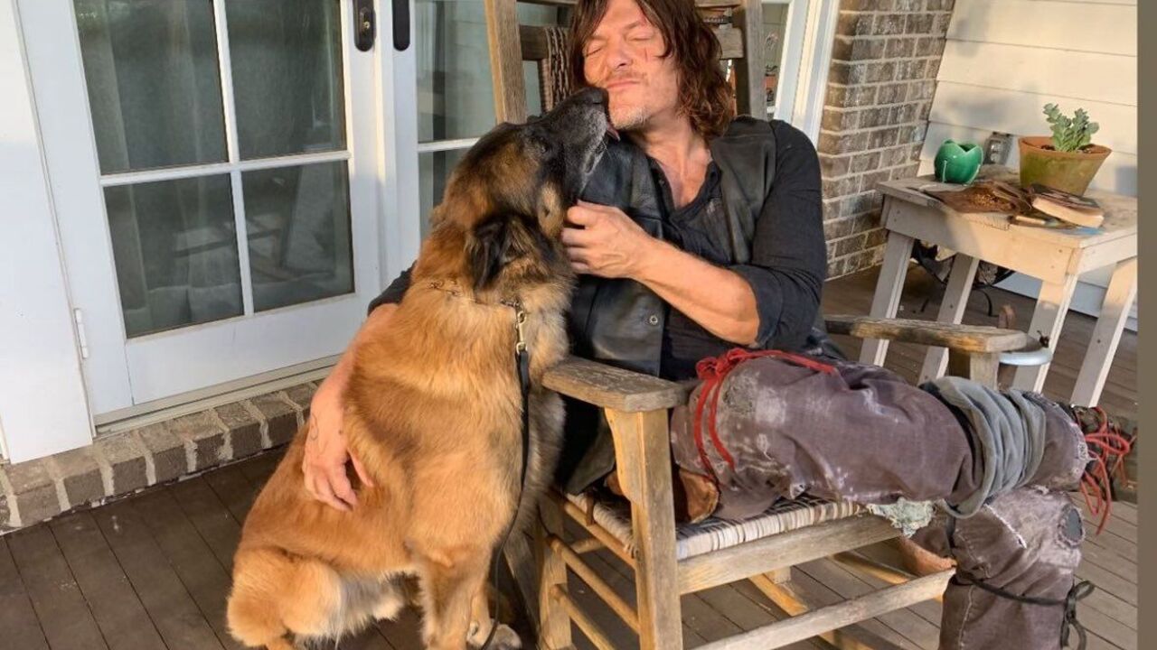 Daryl's dog from The Walking Dead dies: actor shows cute photos with his pet