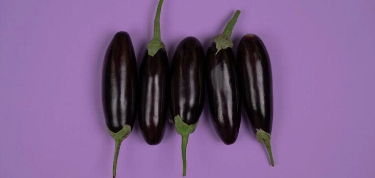 Eggplant casserole with cheese in the oven: a recipe for the most delicate dish