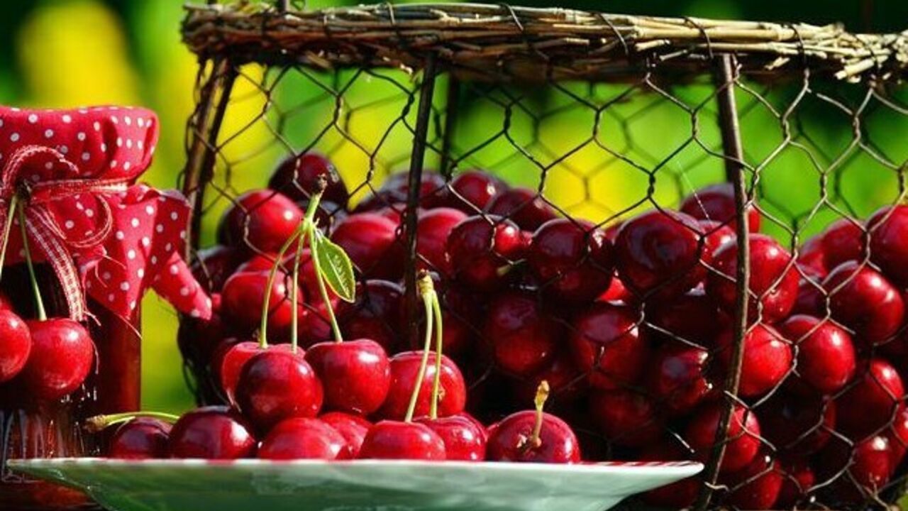 Pitted cherry jam: how to make thick and transparent without gelatin