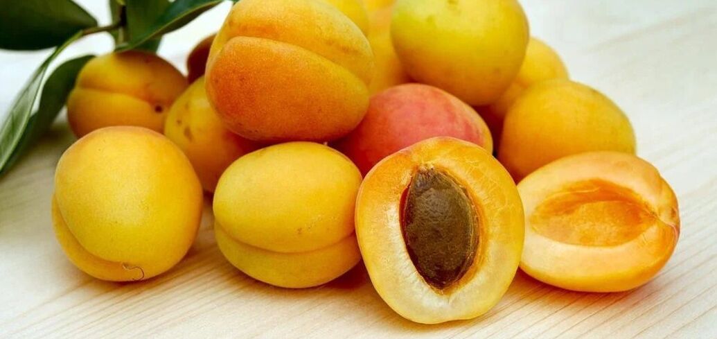 Apricots in syrup for the winter: juicy and retain their shape